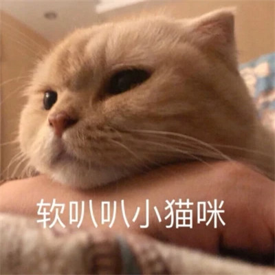 表情包图片大全2025