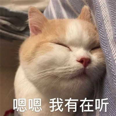 表情包图片大全2025