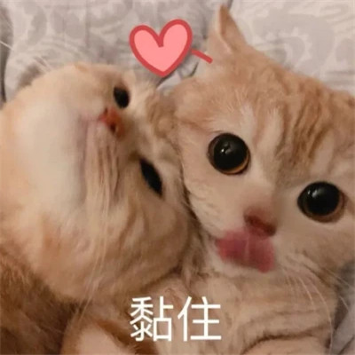 表情包图片大全2025