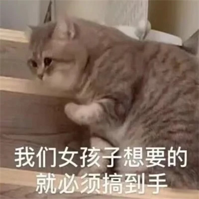 表情包图片大全2025
