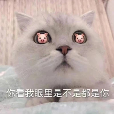 2025网络热梗表情包