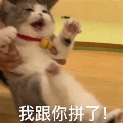 2025网络热梗表情包
