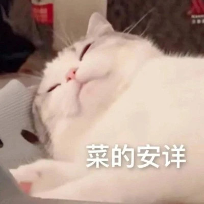 2025网络热梗表情包