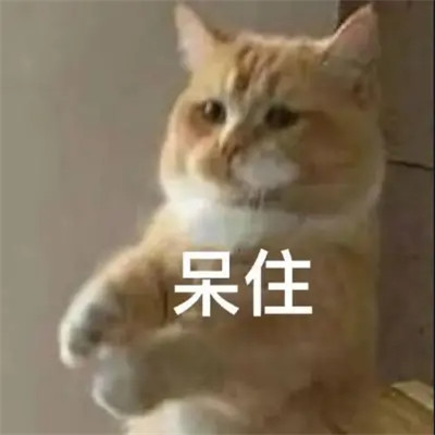 2025网络热梗表情包