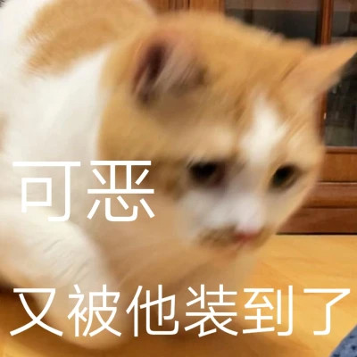 2025网络热梗表情包