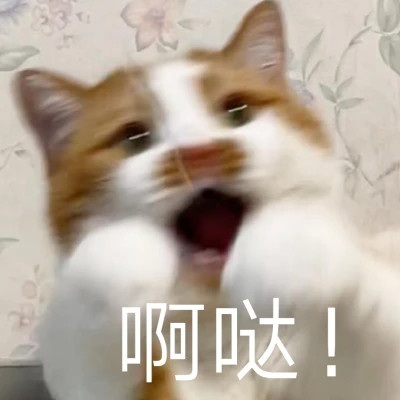 2025网络热梗表情包