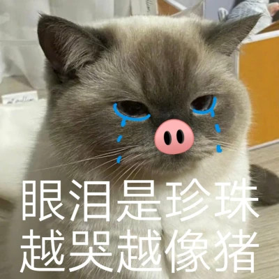 2025网络热梗表情包