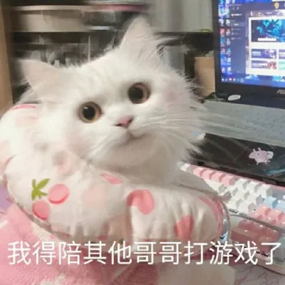 2025网络热梗表情包