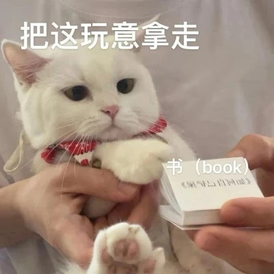 2025网络热梗表情包