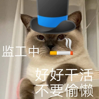 2025网络热梗表情包