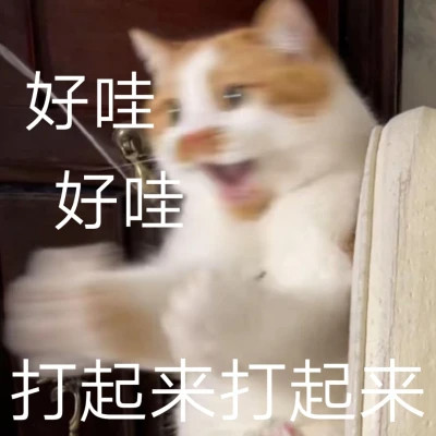 2025网络热梗表情包