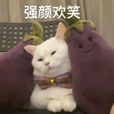 2025网络热梗表情包