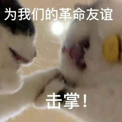 2025网络热梗表情包