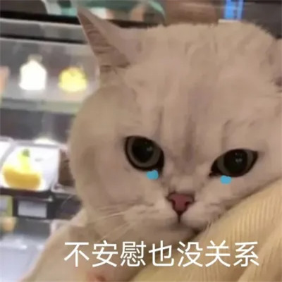 2025网络热梗表情包