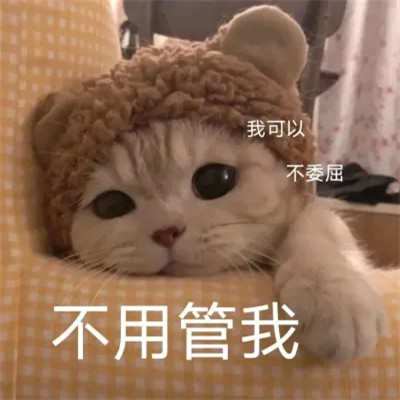 2025网络热梗表情包