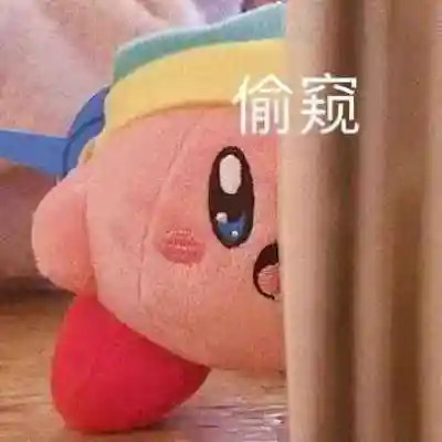 2025网络热梗表情包