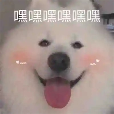 2025网络热梗表情包