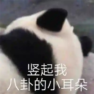 2025网络热梗表情包