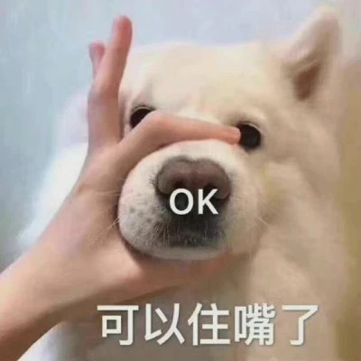 2025网络热梗表情包