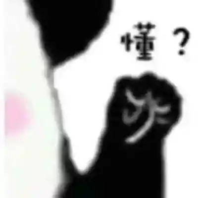 最新表情包2025最新版
