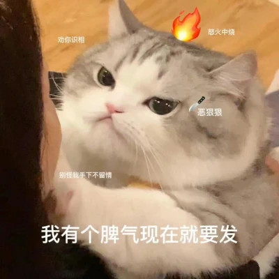 2025新款表情图片头像