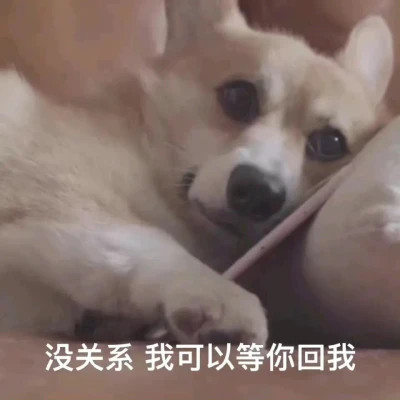 2025新款表情图片头像