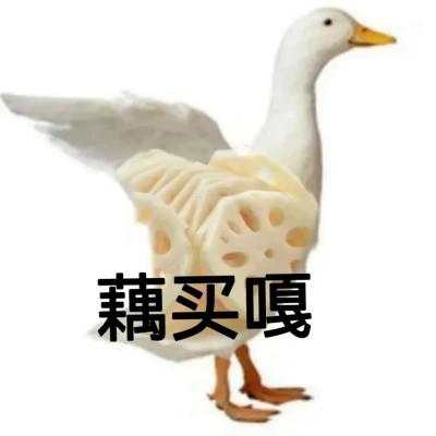 2025最火表情包可爱头像