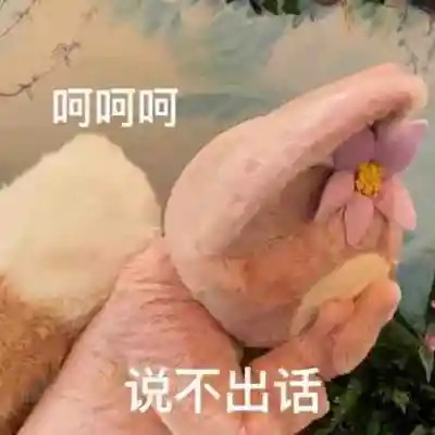 2025最火表情包可爱头像