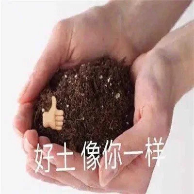 2025最火表情包可爱头像