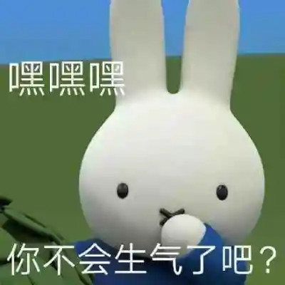 2025最火表情包可爱头像