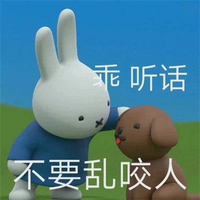 2025最火表情包可爱头像