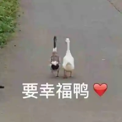 2025最火表情包可爱头像