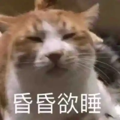 2025最火表情包可爱头像