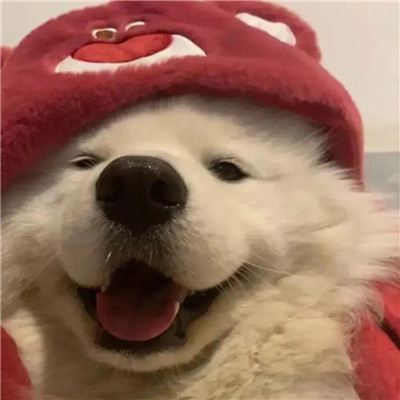 好看高清又不明显的情侣头像