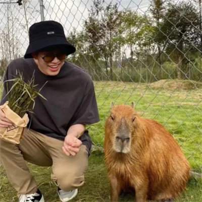 好看但不明显的情侣头像真人