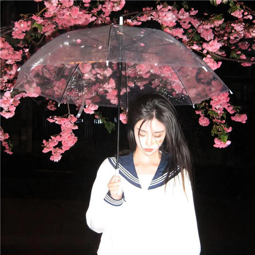 2025很美的最火女性头像图片