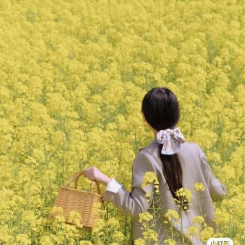 头像图片2025最新款女旅行
