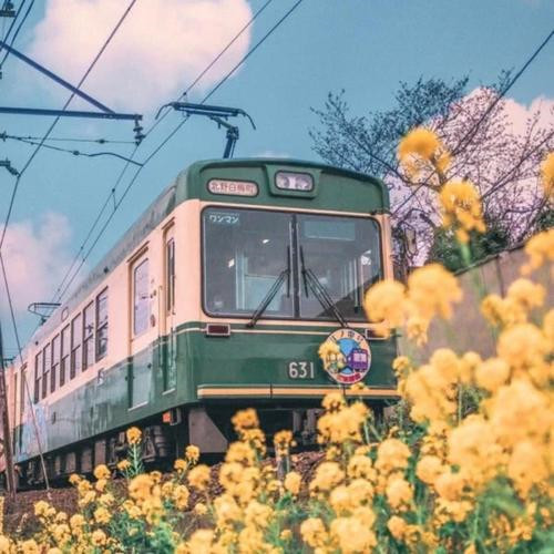 微信旅行头像