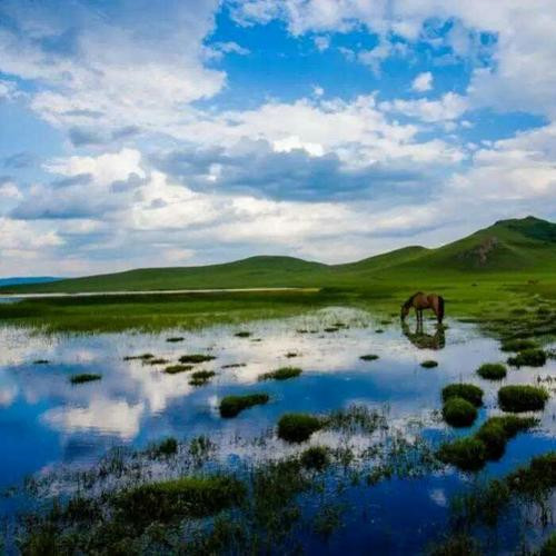 微信旅行头像