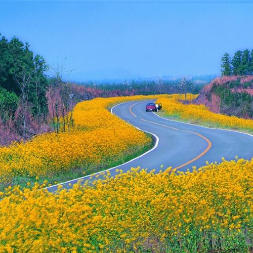 微信旅行头像
