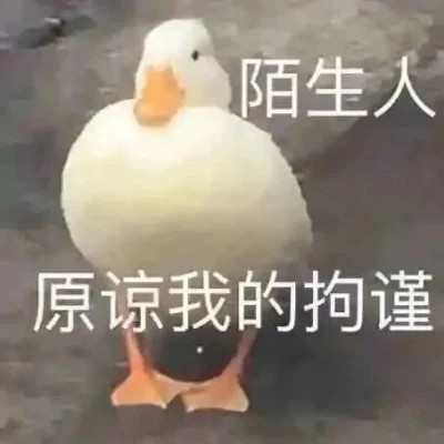 适合当头像的表情包高清