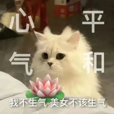 适合当头像的表情包高清