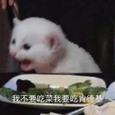 适合当头像的表情包高清