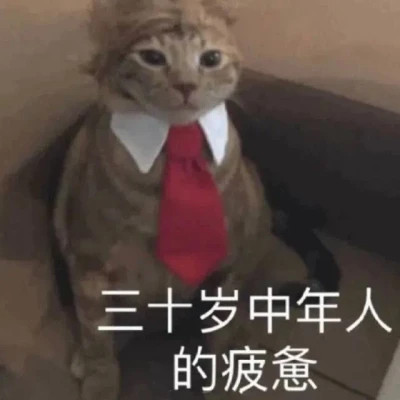 适合当头像的表情包高清