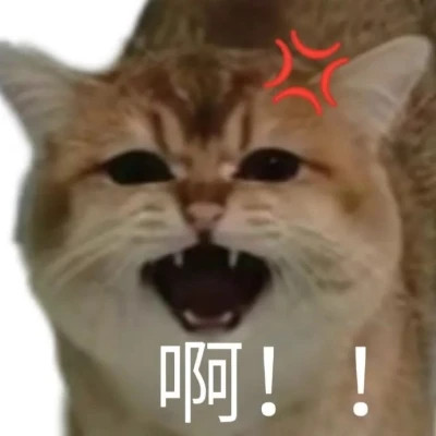 适合当头像的表情包高清