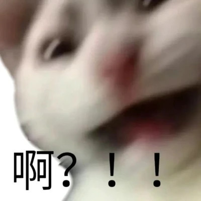 适合当头像的表情包高清