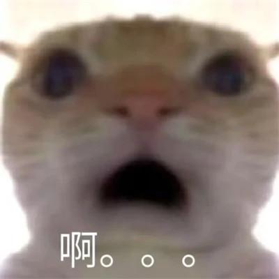 适合当头像的表情包高清