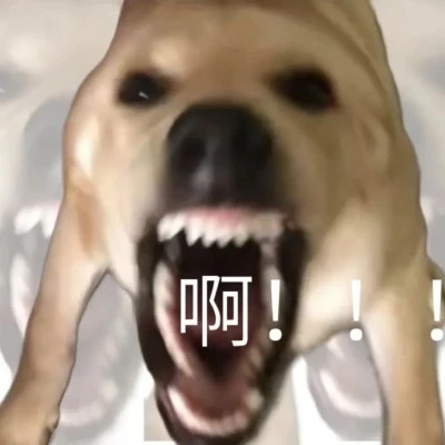 适合当头像的表情包高清