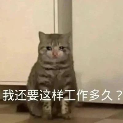 表情包微信头像呆萌