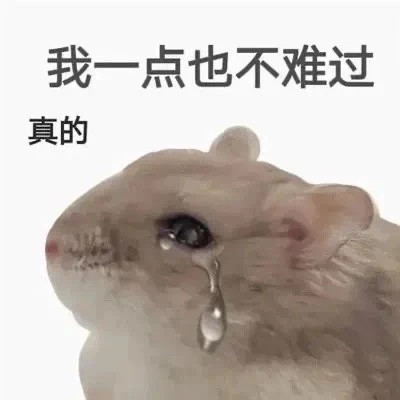 表情包微信头像呆萌